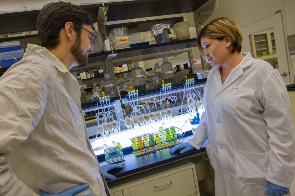 Optimized-SSEBE Abbaszadegan Lab-9125a